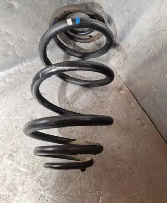 Rear coil spring