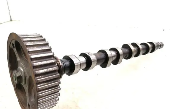 Renault Scenic I Camshaft 106208
