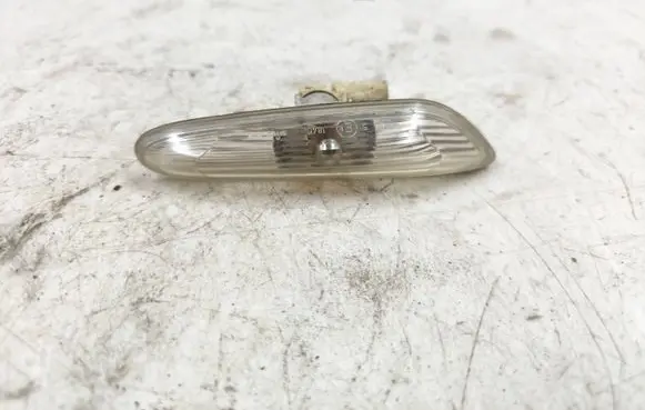 Front fender indicator light