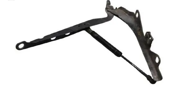 Tailgate/trunk strut/damper