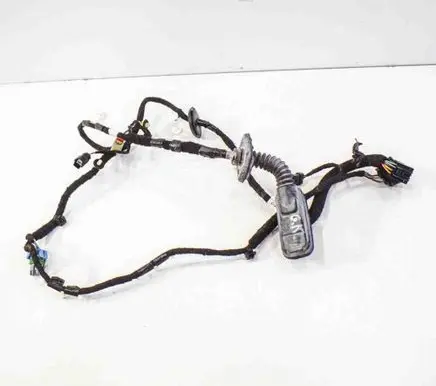 Chevrolet Volt I Rear door wiring loom 22896693