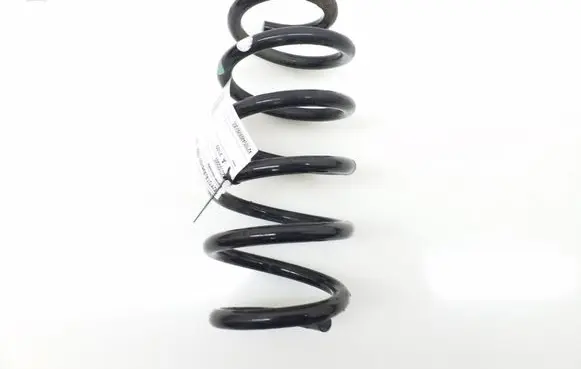 Rear coil spring
