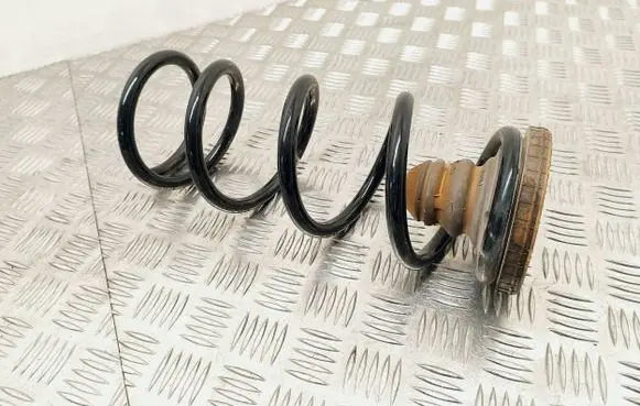 Ford Focus Rear coil spring