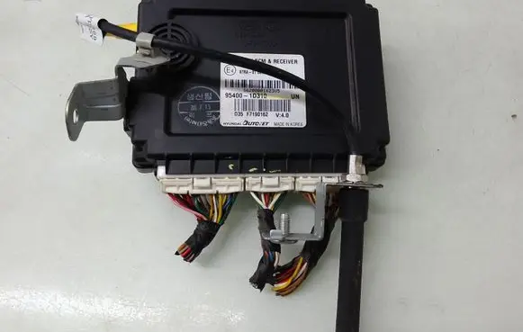 KIA Carens I Other control units/modules 954001D310