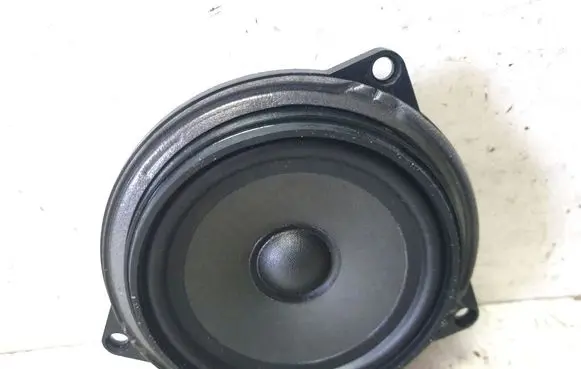 BMW X1 E84 Front door speaker 6513914323201