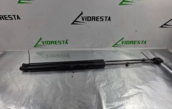 Tailgate/trunk strut/damper