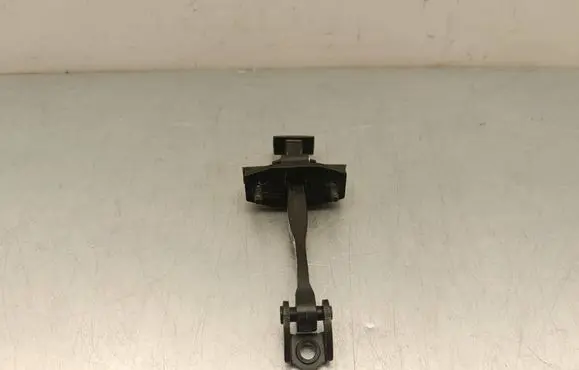 Polestar 2 Rear door check strap stopper 31662623