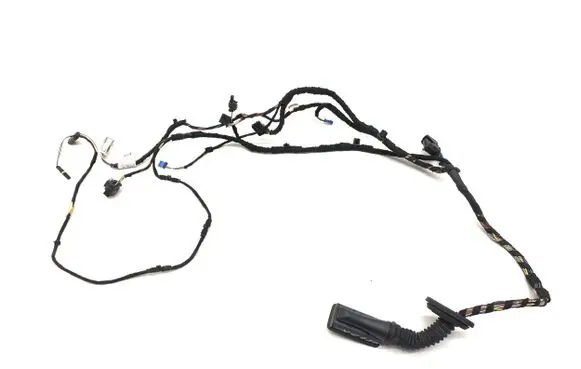 BMW X1 F48 F49 Front door wiring loom 879755201 19344411