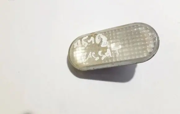 Front fender indicator light