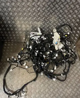 Toyota C-HR II Wiring harness 82199F4F30 F30241112155603
