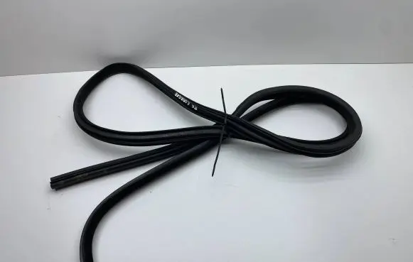 Dodge Charger Front door rubber seal