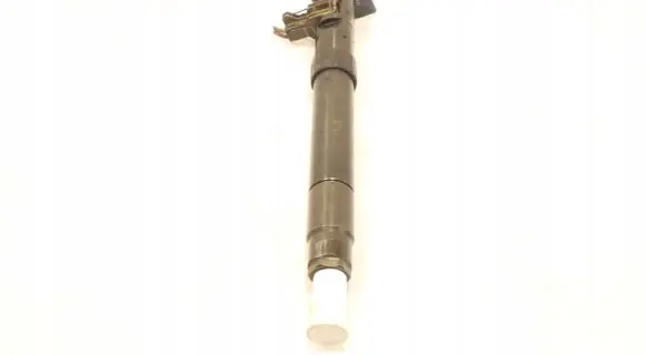 Ford S-MAX Fuel injector EMBR00101D