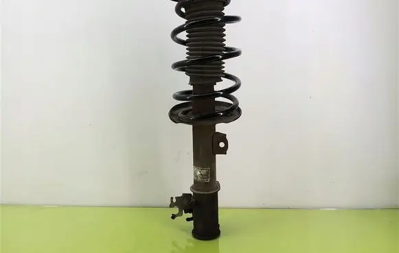 Opel Vectra C Front shock absorber with coil spring 