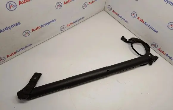 Tailgate/trunk strut/damper