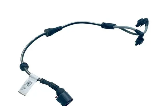 Audi E-tron GT Other wiring loom 9J1971289B