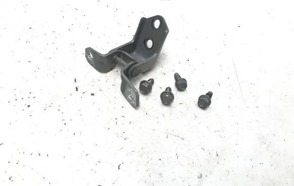 Front door lower hinge