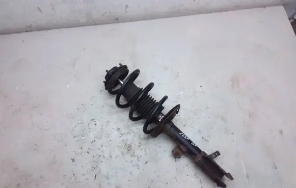 Jeep Compass Front shock absorber with coil spring 973AD 25591F