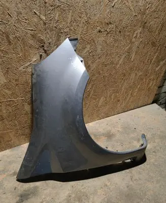Renault Modus Fender