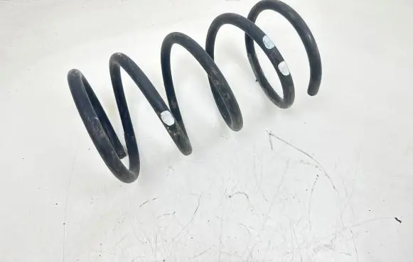 Front coil spring
