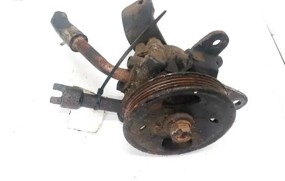 Nissan Pathfinder R51 Power steering pump 52094071 eb300