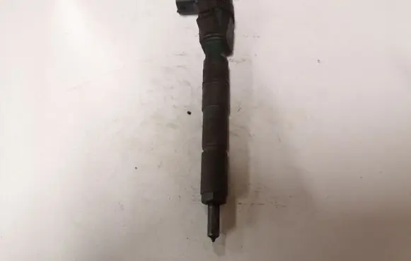 Opel Zafira B Fuel injector 0445110243