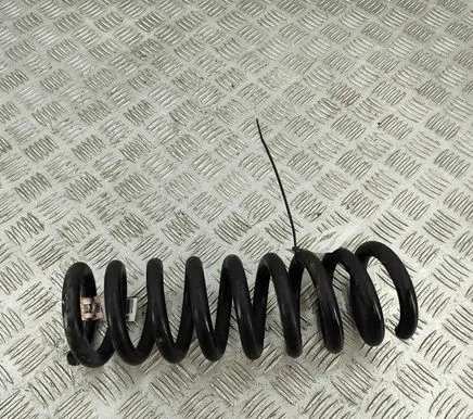 Dodge Charger Rear coil spring 4895583AA