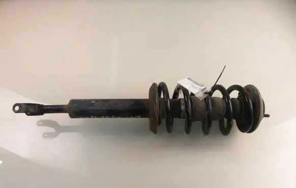 Volkswagen PASSAT B5.5 Front shock absorber with coil spring MGA5559