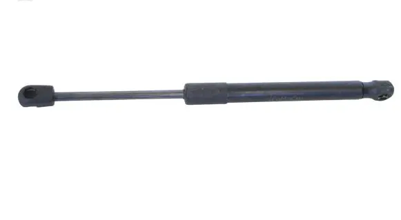 Ford Mustang VI Tailgate/trunk strut/damper FR3B76406A10AB