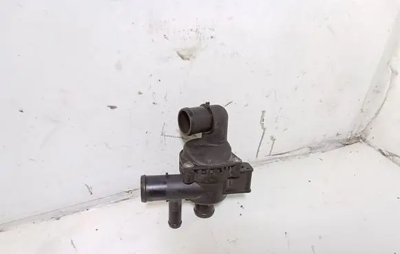 Thermostat/thermostat housing