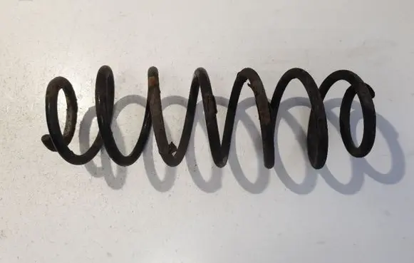 Rear coil spring