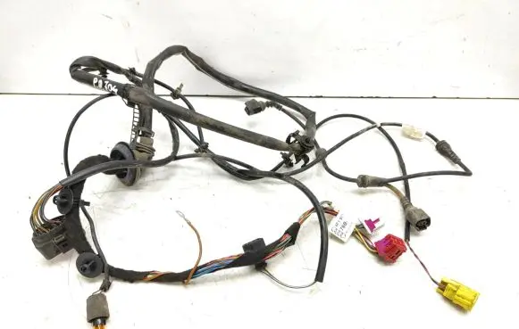 Front door wiring loom