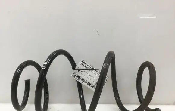 Nissan Juke I F15 Front coil spring 