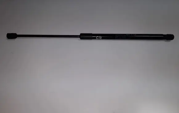 Tailgate strut