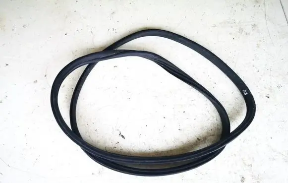 Mini Cooper Countryman R60 Rubber seal front coupe door 9808548