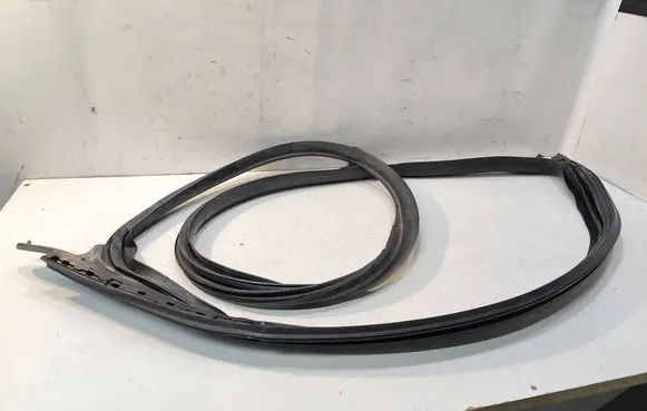 Tesla Model 3 Front door rubber seal 