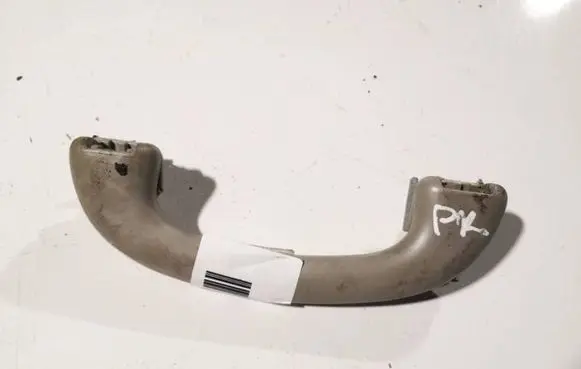 Ford Focus Front interior roof grab handle