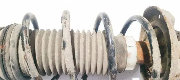 Fiat Punto (188) Front coil spring