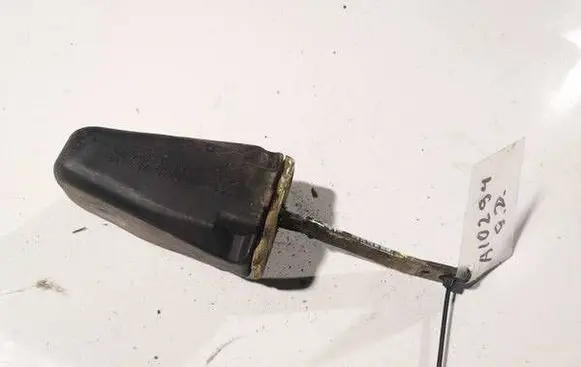Rear door check strap stopper