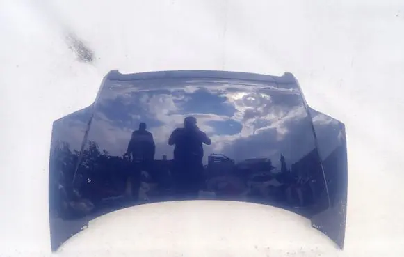 Fiat Ulysse Engine bonnet/hood