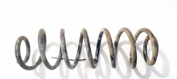 Skoda Roomster (5J) Rear coil spring