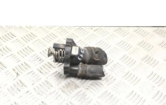 Thermostat/thermostat housing