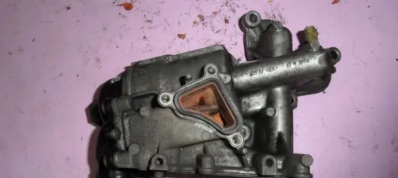 Renault Koleos I Oil filter mounting bracket 8200797762