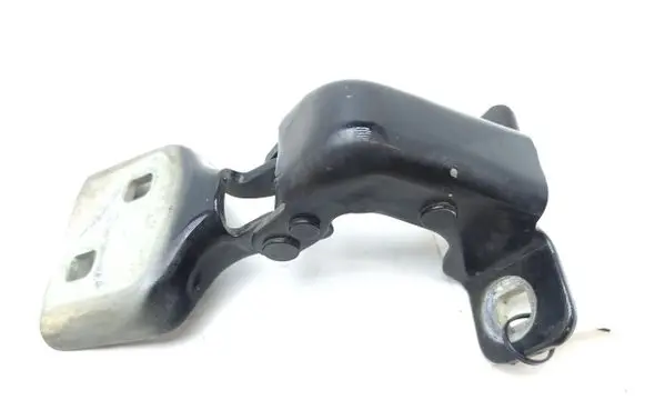 Renault Master III Front door lower hinge 804000006R