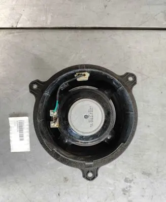 Rear door speaker