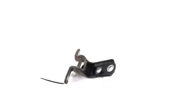 Rear door lower hinge