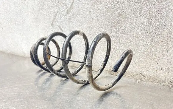 Opel Insignia A Front coil spring 