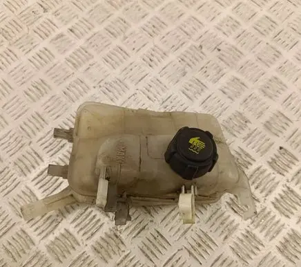 Renault Megane III Coolant expansion tank/reservoir 217100005R