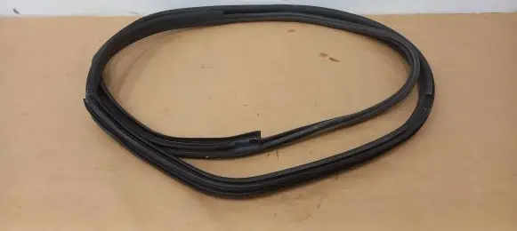 BMW i3 Front door rubber seal 7301741