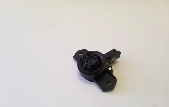Front door high frequency speaker