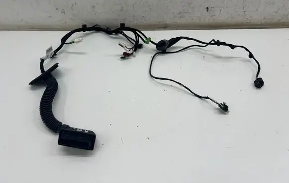 Mercedes-Benz EQE v295 Rear door wiring loom A2955401811